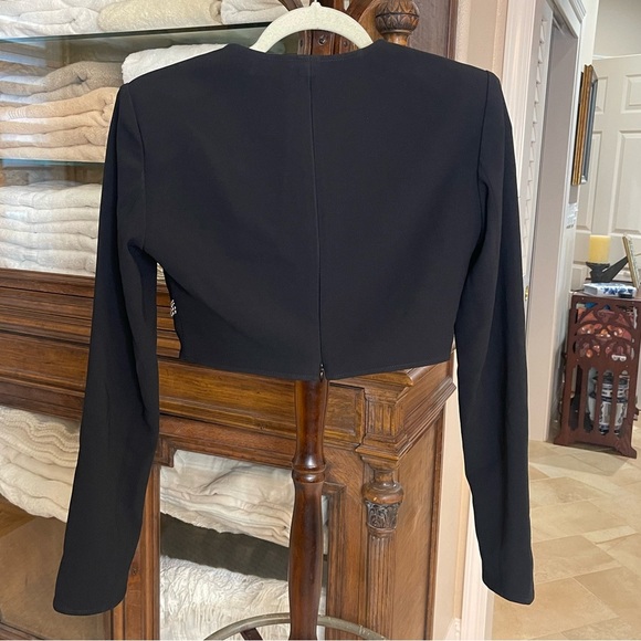 EUC A.L.C. Formal studded cropped top. A.L.C. - Picture 3 of 7